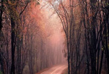 海星体育：[德甲]吉滕斯闪开防守 右脚兜射扩大比分.