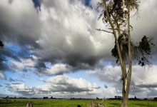 海星体育：1994年3月以来，西班牙在梅斯塔利亚球场参加10场比赛从未输球.