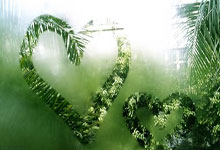 CBA常规赛广东男篮吉林男篮.