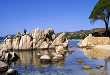 CBA常规赛广东男篮吉林男篮.